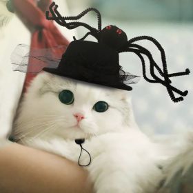 Curly Hair Pet Hat Cat Funny Dress Up Pet Products (Option: Spider-Average Size)