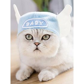 Curly Hair Pet Hat Cat Funny Dress Up Pet Products (Option: Cherub-Average Size)