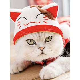 Curly Hair Pet Hat Cat Funny Dress Up Pet Products (Option: Caicai Cat-Average Size)