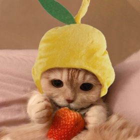 Curly Hair Pet Hat Cat Funny Dress Up Pet Products (Option: Pear head-Average Size)