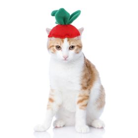 Curly Hair Pet Hat Cat Funny Dress Up Pet Products (Option: Green Leaf Strawberry-Average Size)