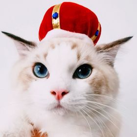 Curly Hair Pet Hat Cat Funny Dress Up Pet Products (Option: Crown-Average Size)