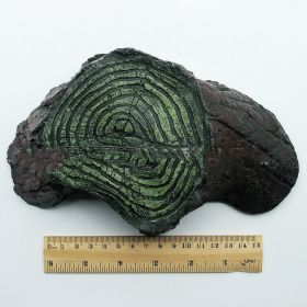 Reptile Supplies Balcony Climbing Rockery Balcony (Option: Yuan Turtle Terrace)