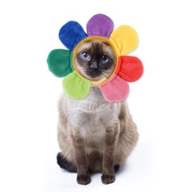 Curly Hair Pet Hat Cat Funny Dress Up Pet Products (Option: Seven Colors-Average Size)